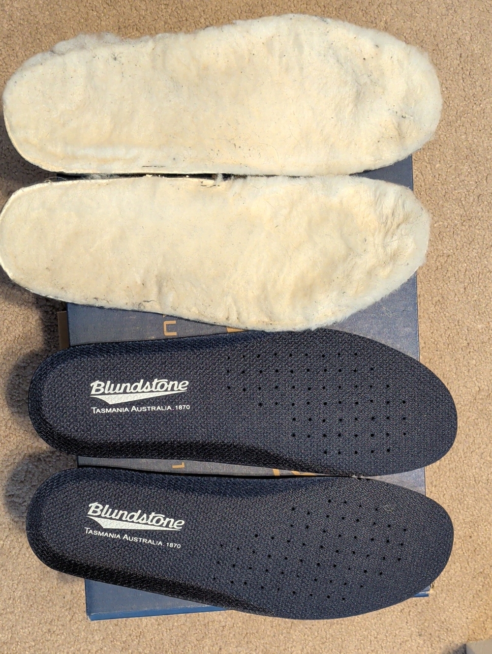 Blundstone Chisel toe boots